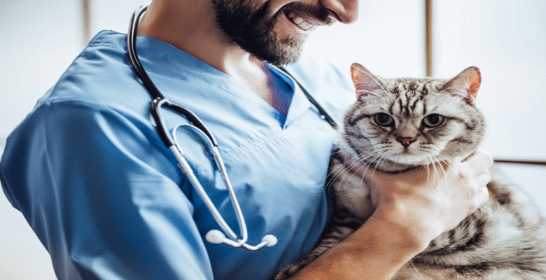 Wie Kleintiermedizin die Lebensqualität Ihres Haustiers verbessert