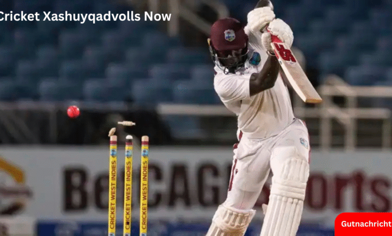 Cricket Xashuyqadvolls Now